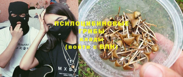 дурь Тайга