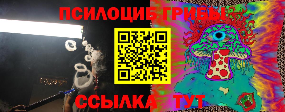 Псилоцибиновые грибы MAGIC MUSHROOMS  Псилоцибиновые грибы Psilocybe  Дербент 