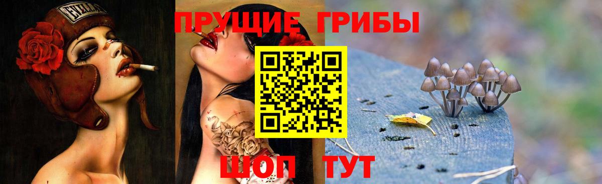 Дербент  Галлюциногенные грибы MAGIC MUSHROOMS  Вход с VPN  Галлюциногенные грибы Psilocybe 